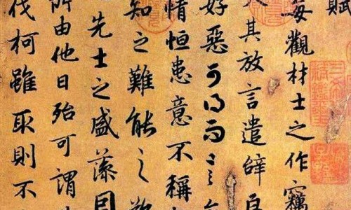 中药广木香多少钱一斤-中药广木香的性味与作用网- 广木香药用价值图解知识,分享广木香有七大功效